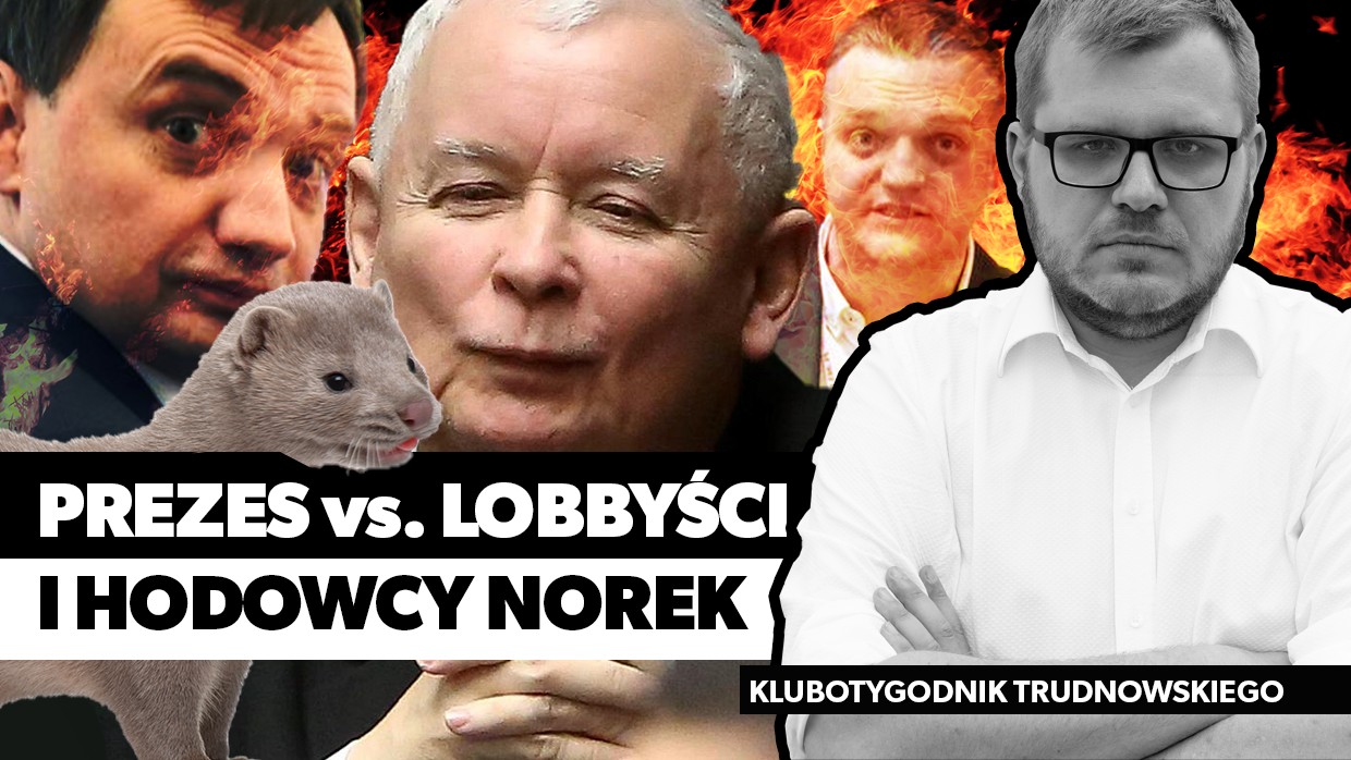 Co sprawa hodowców norek mówi nam o systemowych bolączkach lobbingu w Polsce? [VIDEO]