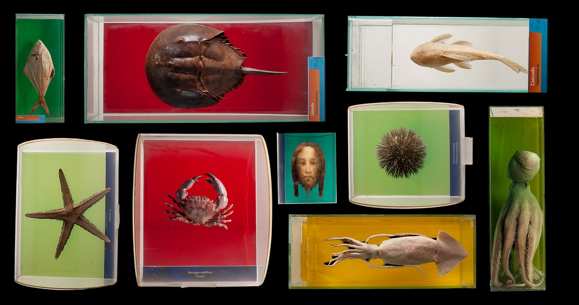 Czy Bóg może zamieszkać w naukach ścisłych?