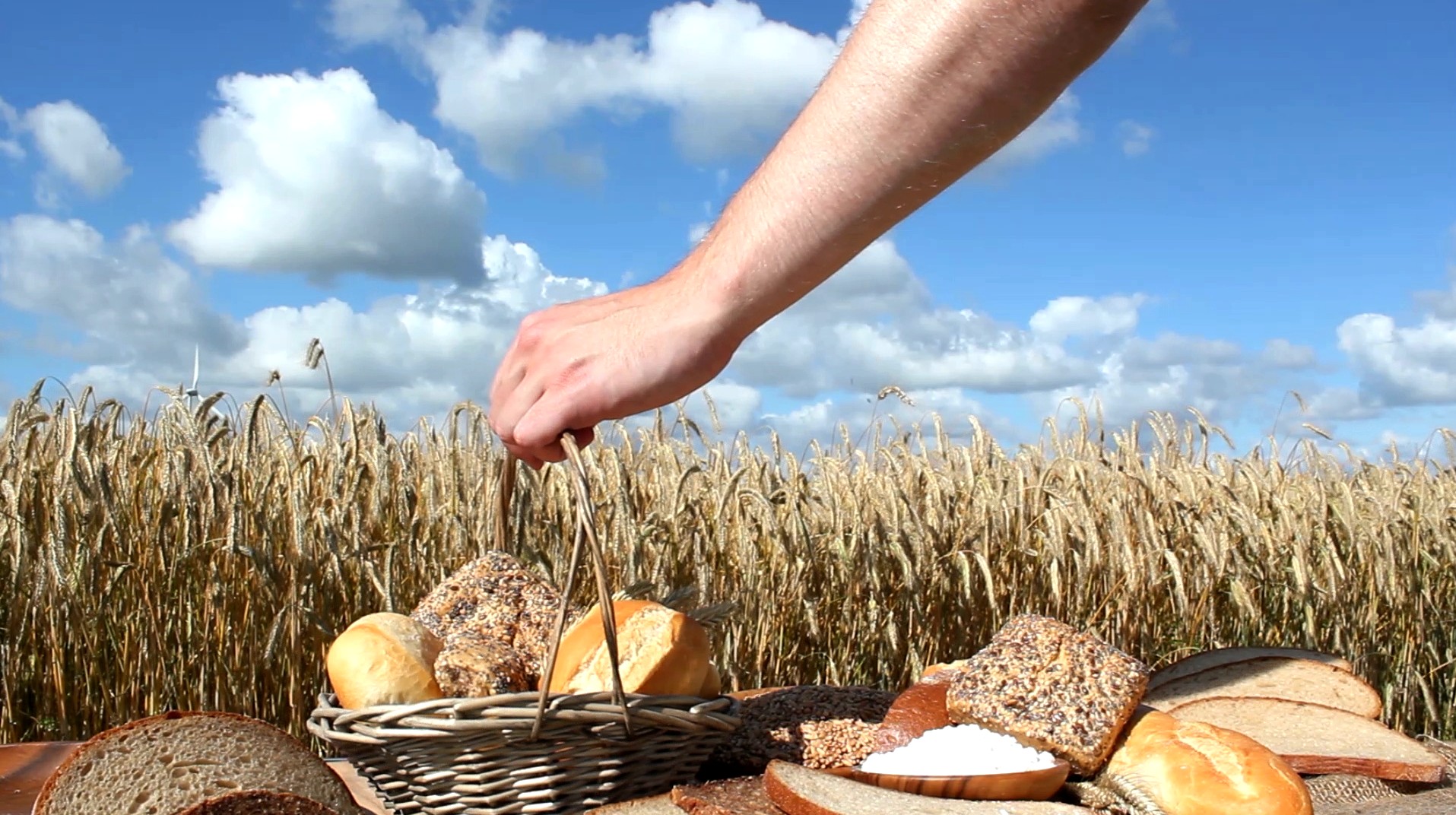 Bartosz Mielniczek: Państwo musi pomóc polskim rolnikom