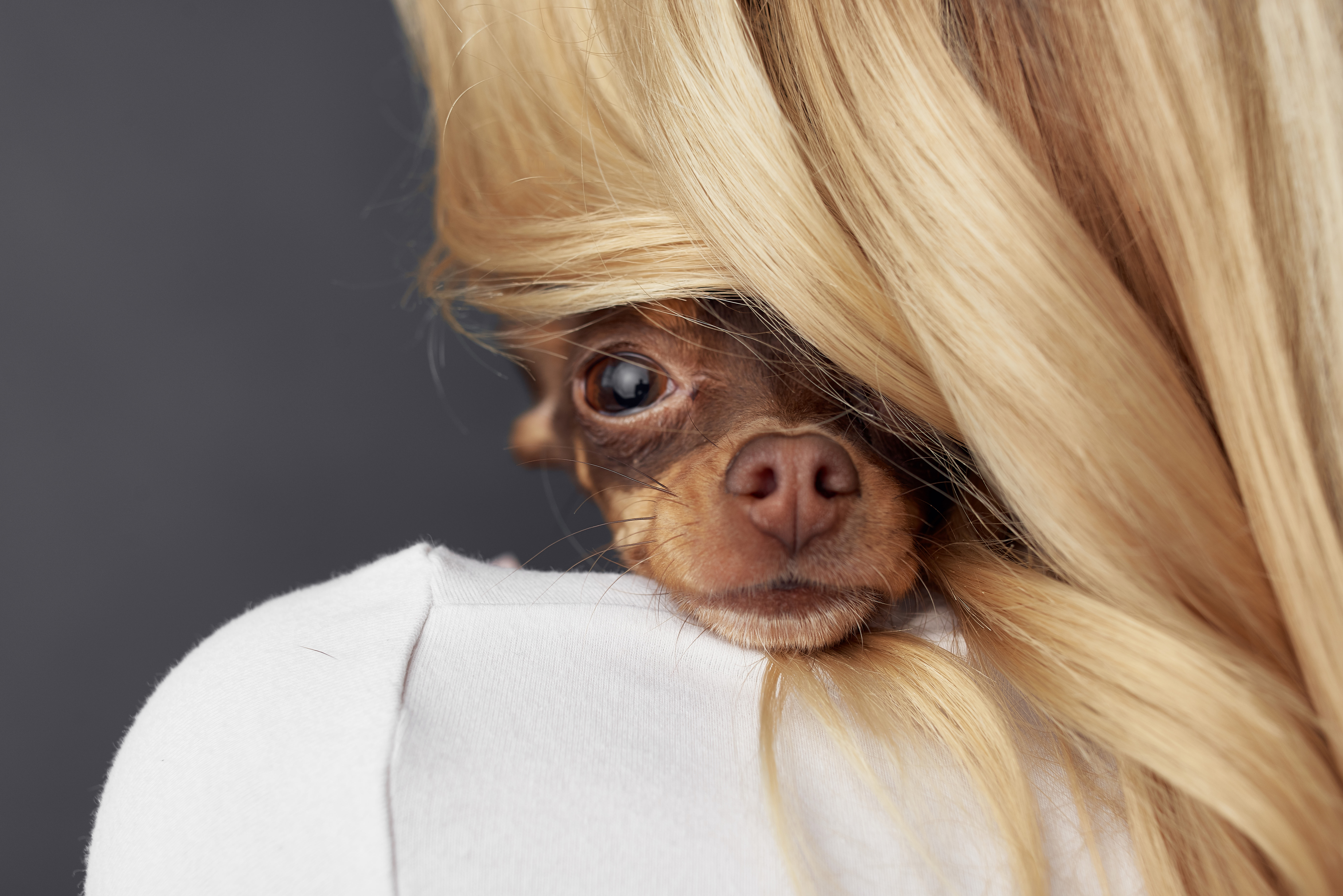 Zaciera się kulturowa granica między człowiekiem a zwierzęciem